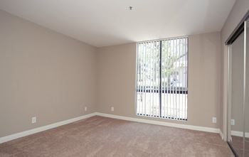 Expansive window